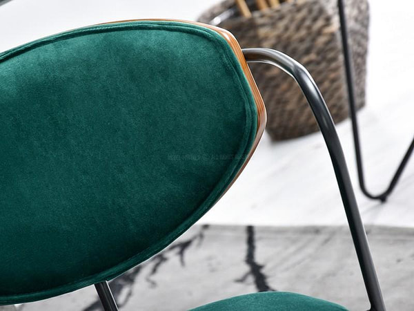 Talisa karfás szék TALISA szék, zöld plüss-dió 8