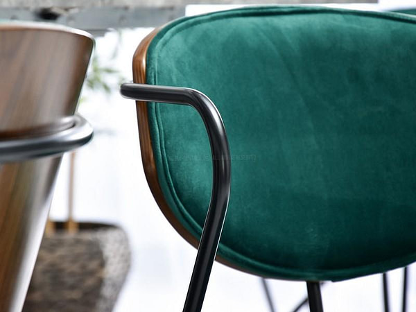 Talisa karfás szék TALISA szék, zöld plüss-dió 10