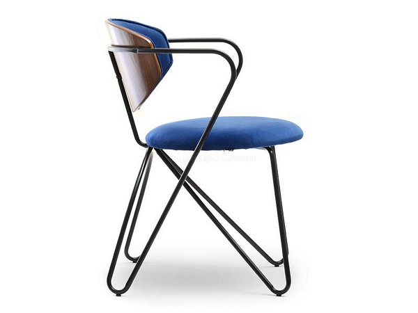 Hajlított székek TALISA szék, dió-sötétkék bársony 14