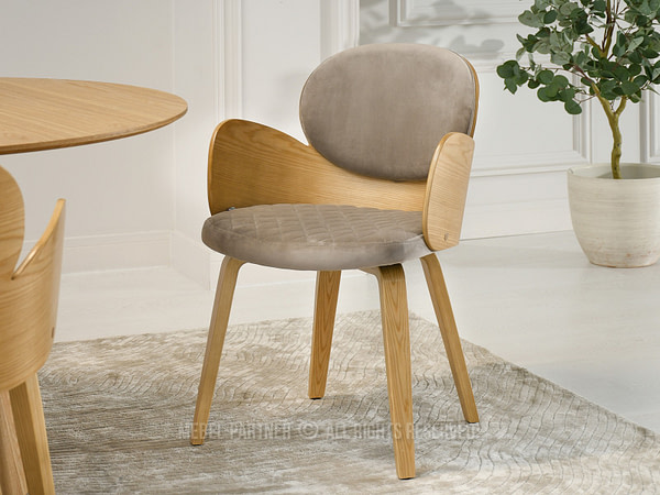 Hajlított székek ARIA karfás étkezőszék, tölgy-beige velúr 2